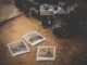 Cherished Moments: Van Trouwfotografie tot Familieshoots