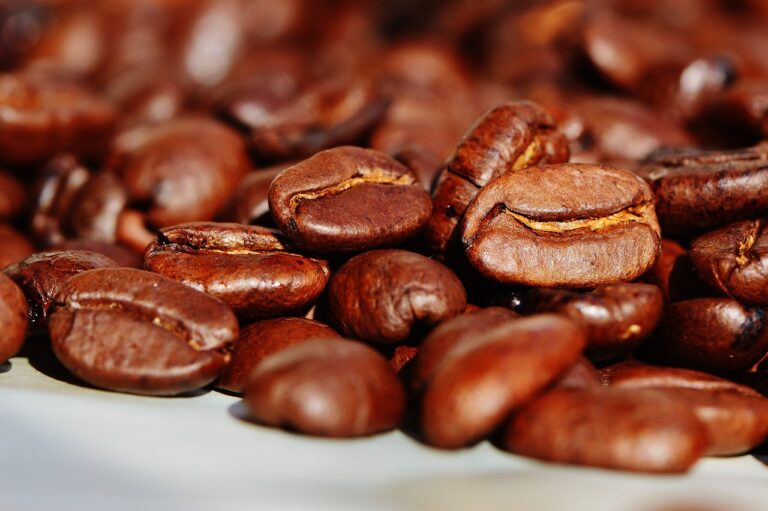 Koffie proeven: er zijn veel meer smaken dan je denkt!